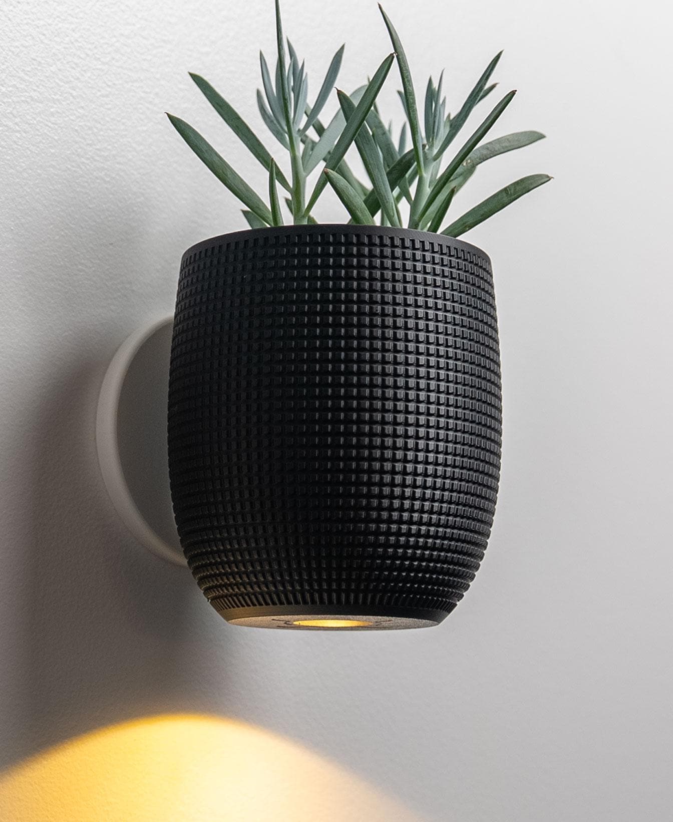 3D Printed Wall Planter Lamp – Modern Textured Plant Holder with Ambient Light