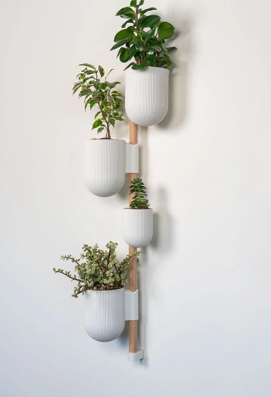 The Rail - Ira Planter | 3D Printed Rail System of Planters